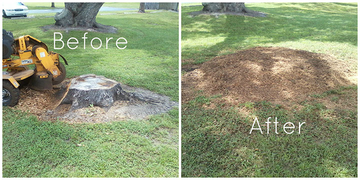 Stump Removal Before and After